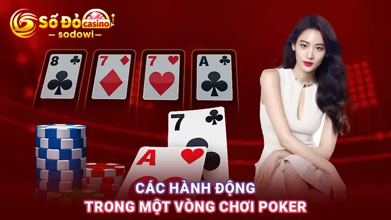 Các hành động trong một vòng chơi
