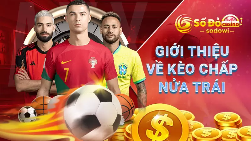 Giới thiệu về kèo chấp nửa trái SODO