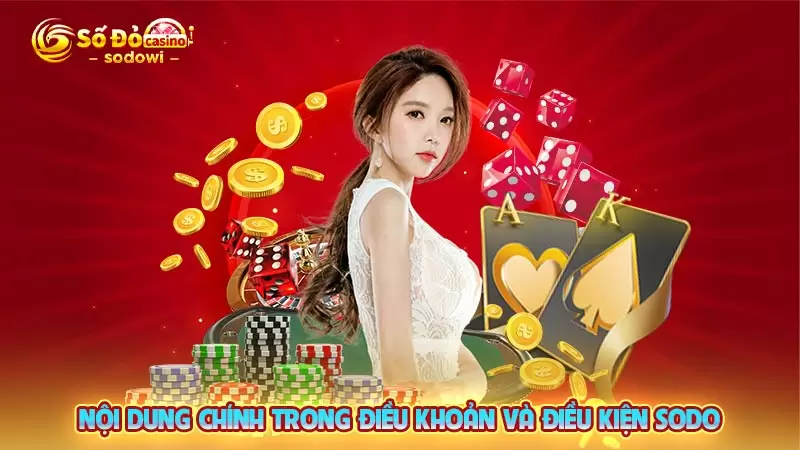 Nội dung chính trong điều khoản và điều kiện SODO