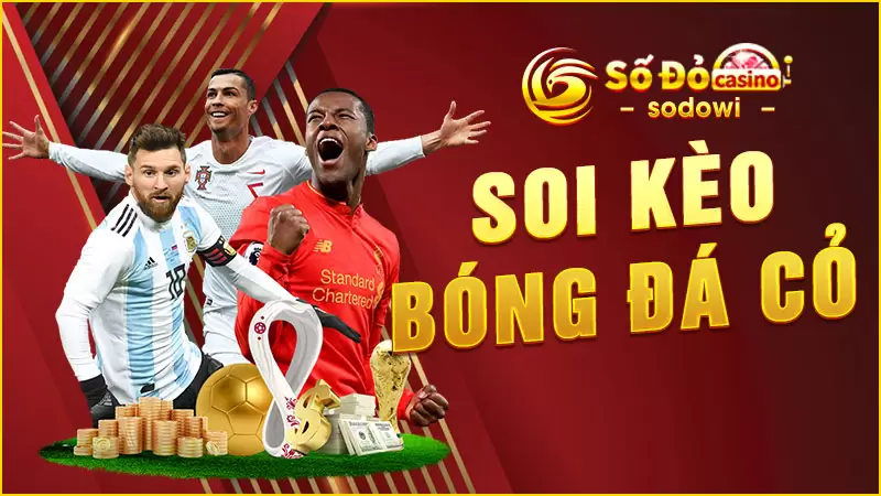 soi-kèo-bóng-đá-cỏ