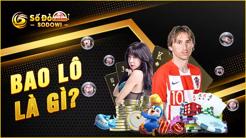 Bao-lô-là-gì