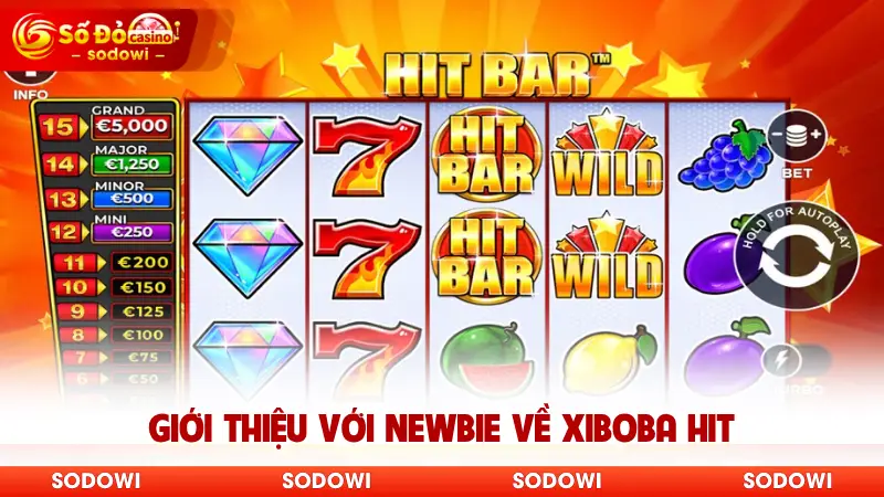 Xiboba Hit SODO - Game Nổ Hũ Đồ Uống Ngọt Ngào Vui Nhộn 2 Giới thiệu với newbie về Xiboba Hit