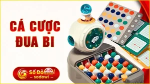 Cá Cược Đua Bi