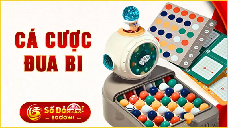 Cá Cược Đua Bi