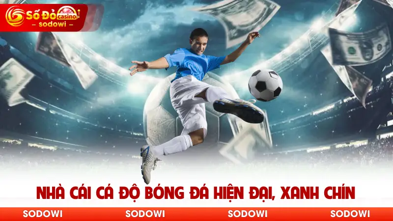 Nhà cái cá độ bóng đá hiện đại, xanh chín