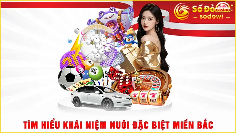 Tìm hiểu khái niệm nuôi đặc biệt miền Bắc