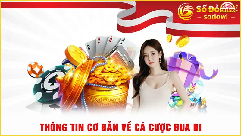 Thông tin cơ bản về cá cược đua bi